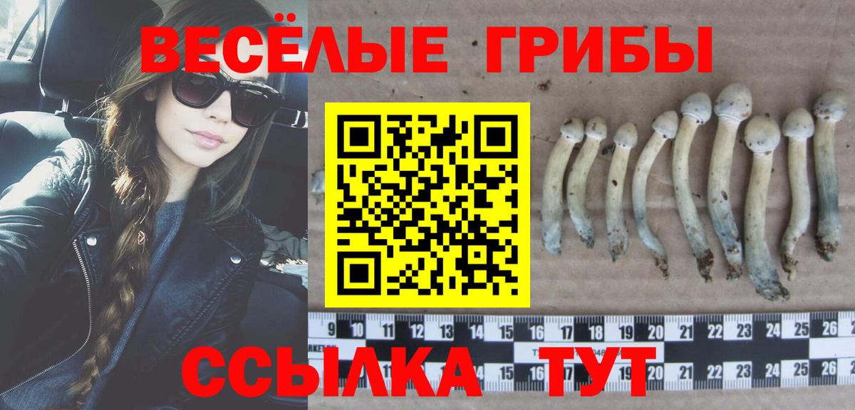 Электросталь  Галлюциногенные грибы ЛСД  Галлюциногенные грибы мицелий  Вход с VPN 